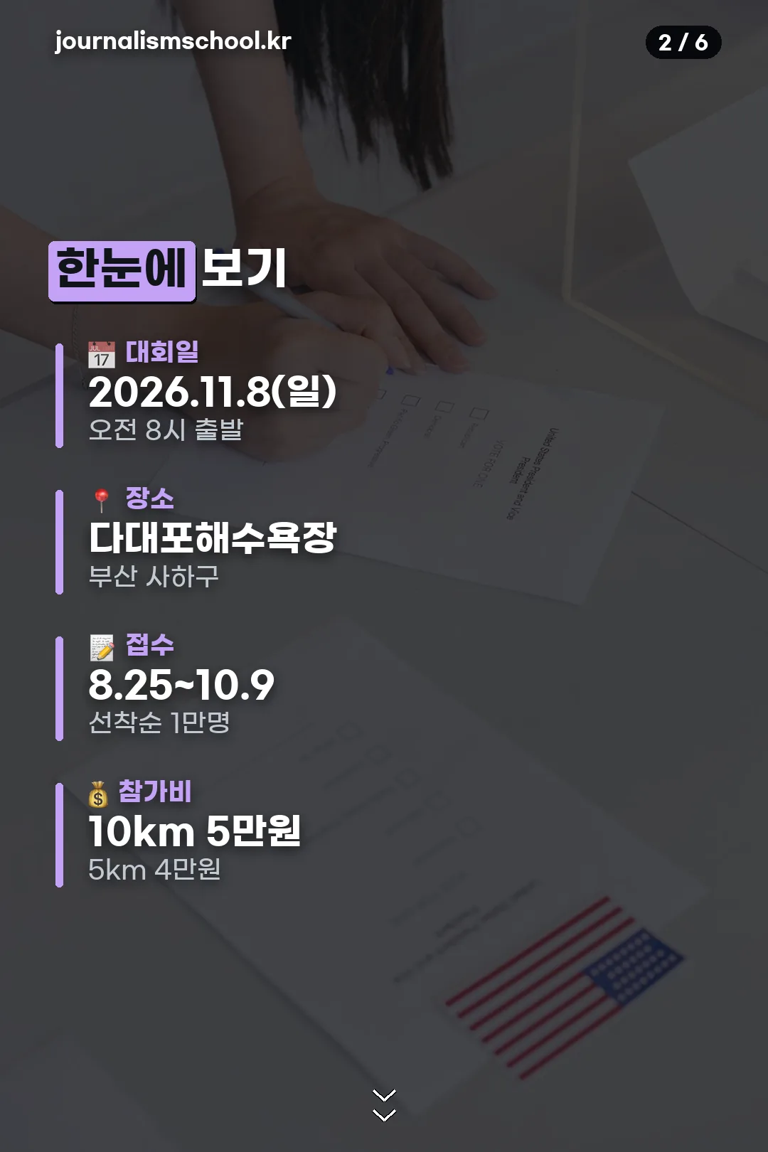 대회 정보 요약