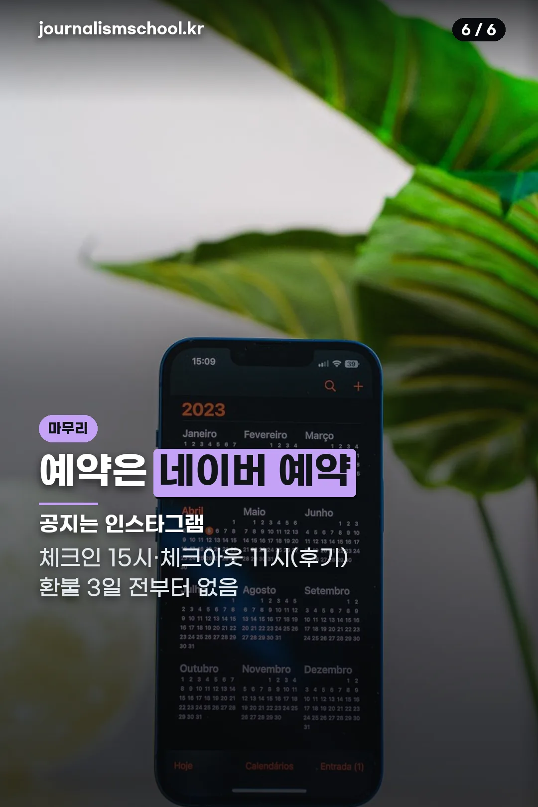 예약과 체크인