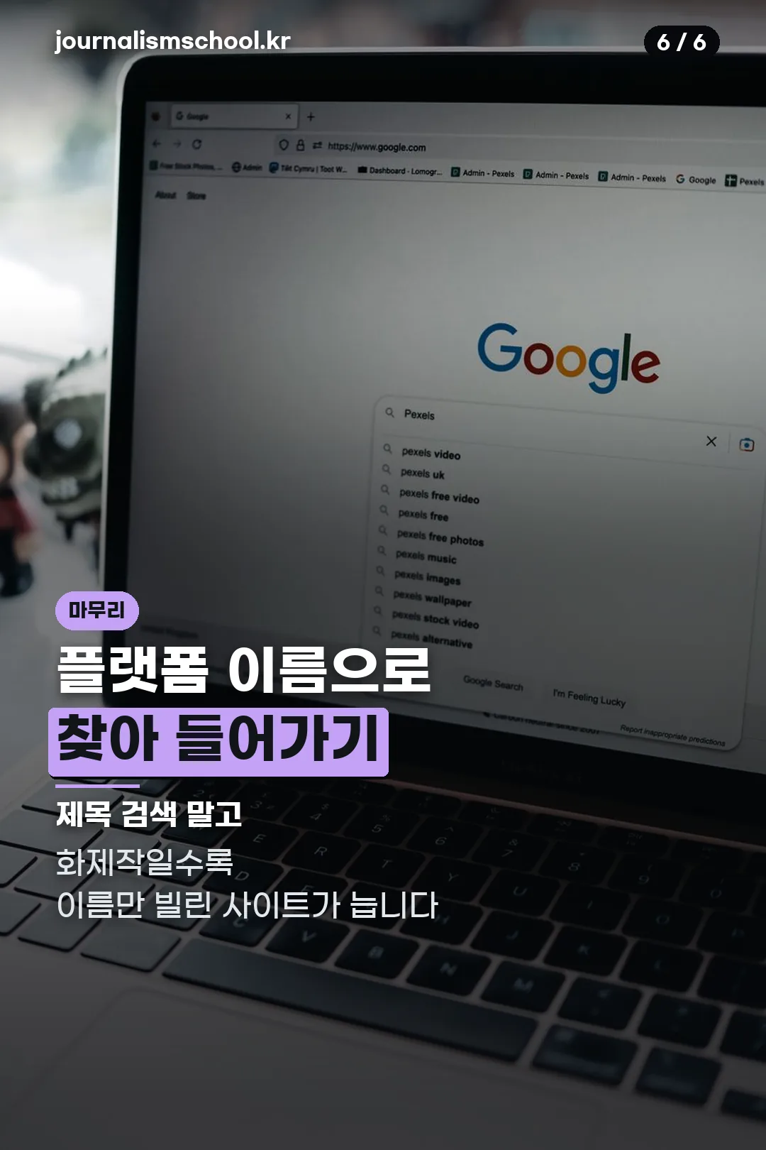 플랫폼명으로 검색