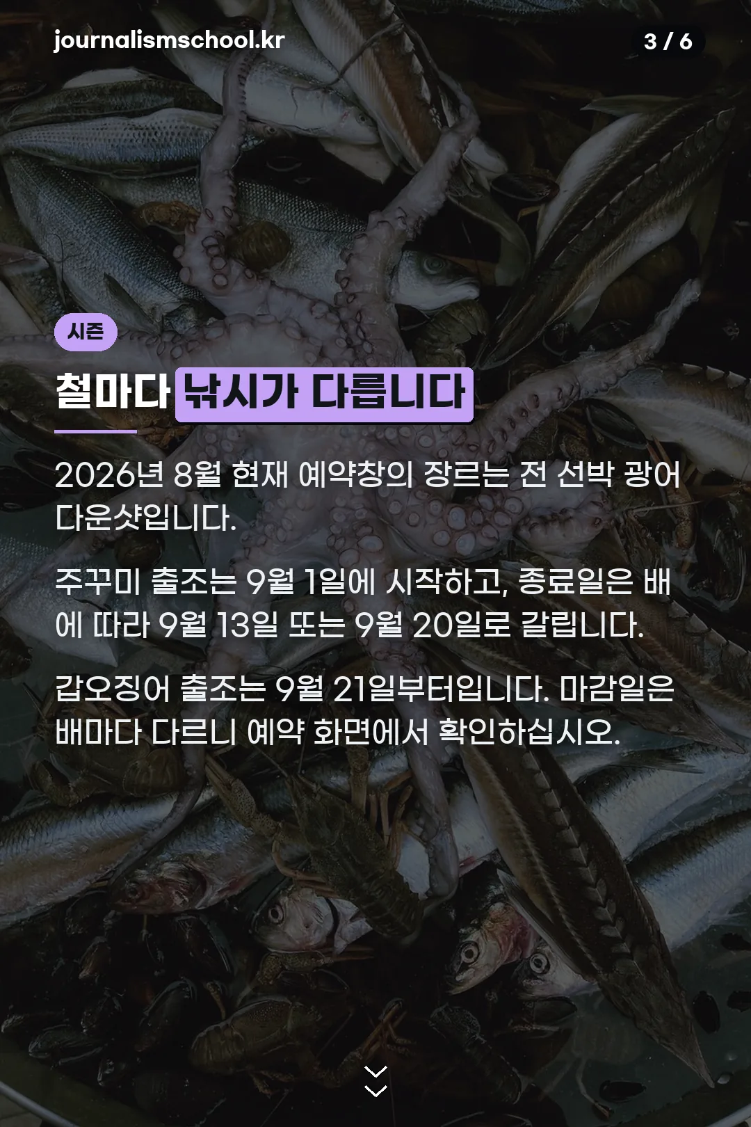 계절별 출조 장르