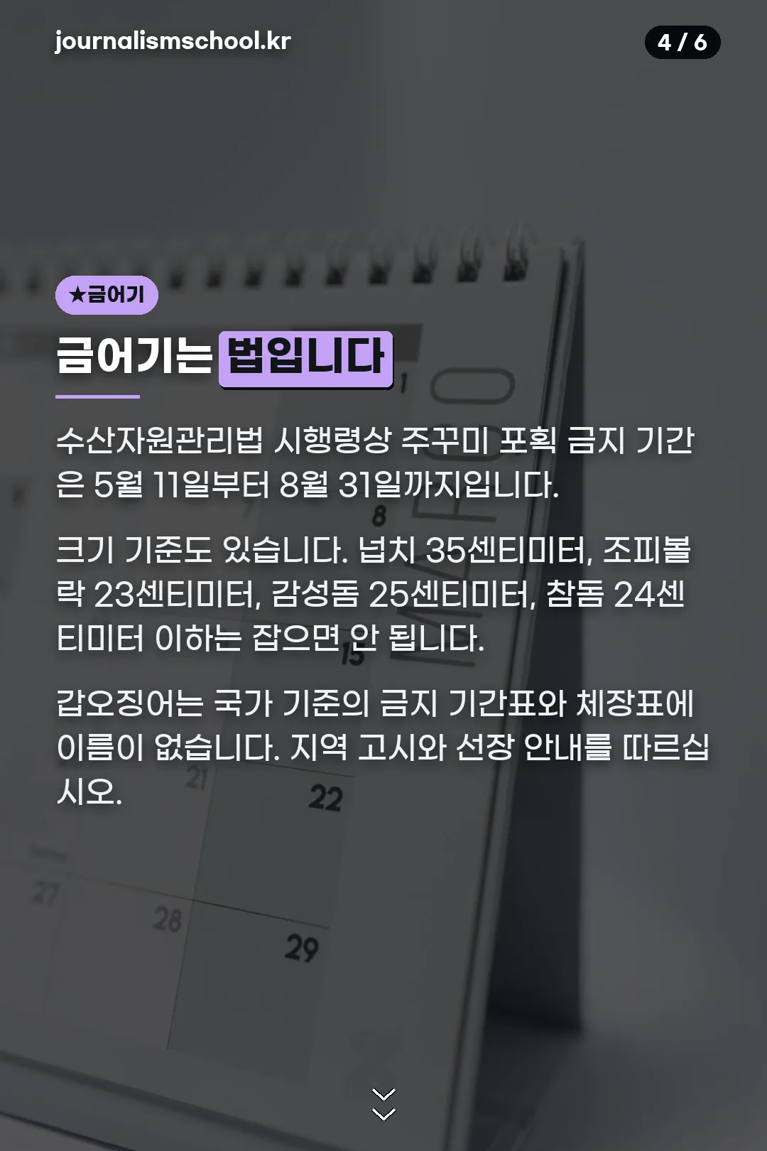 금어기와 금지 체장