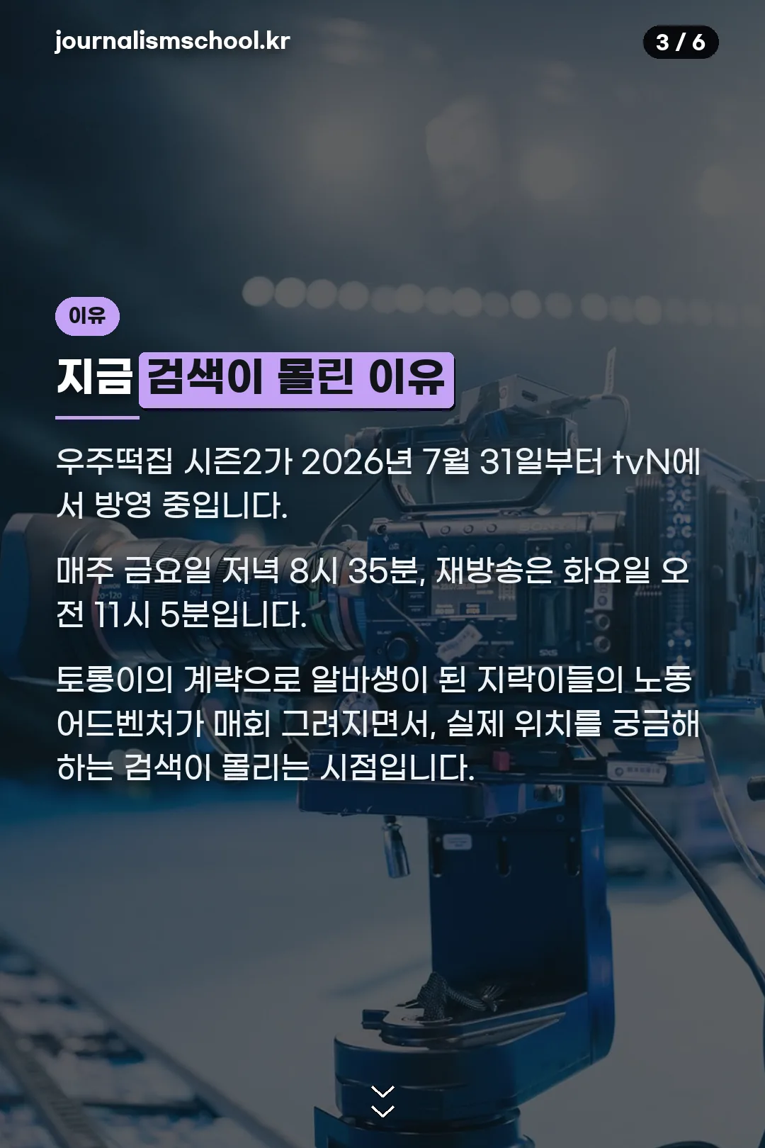 검색이 몰린 이유