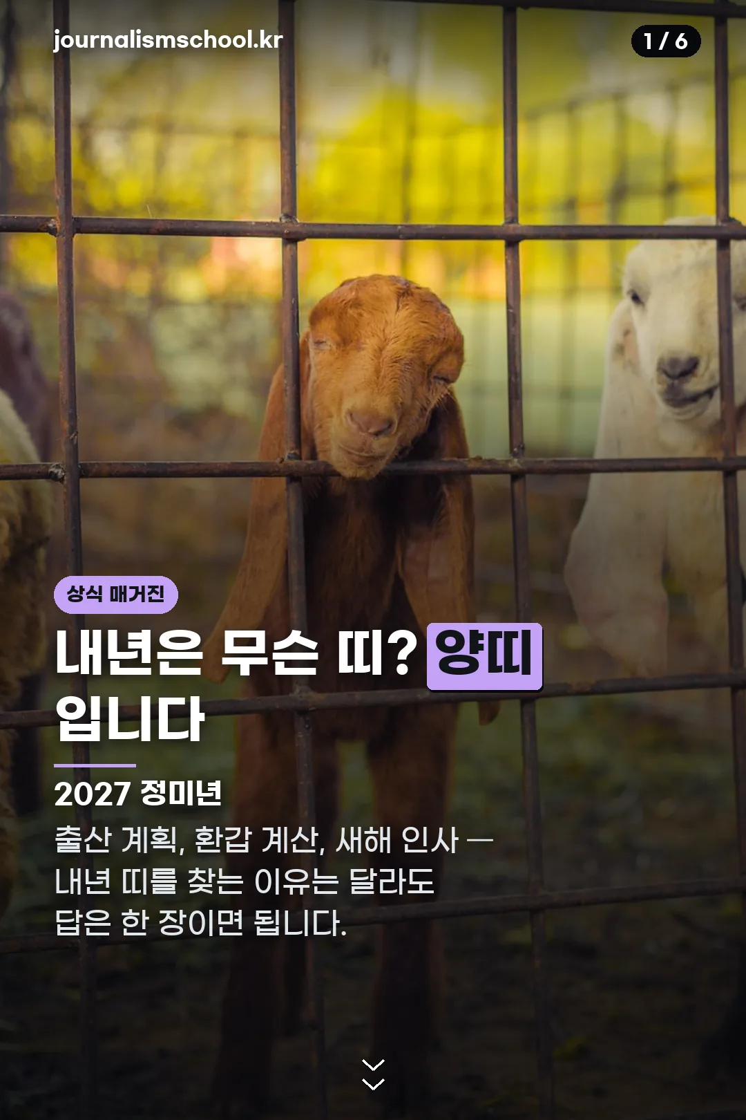 2027년 띠 표지