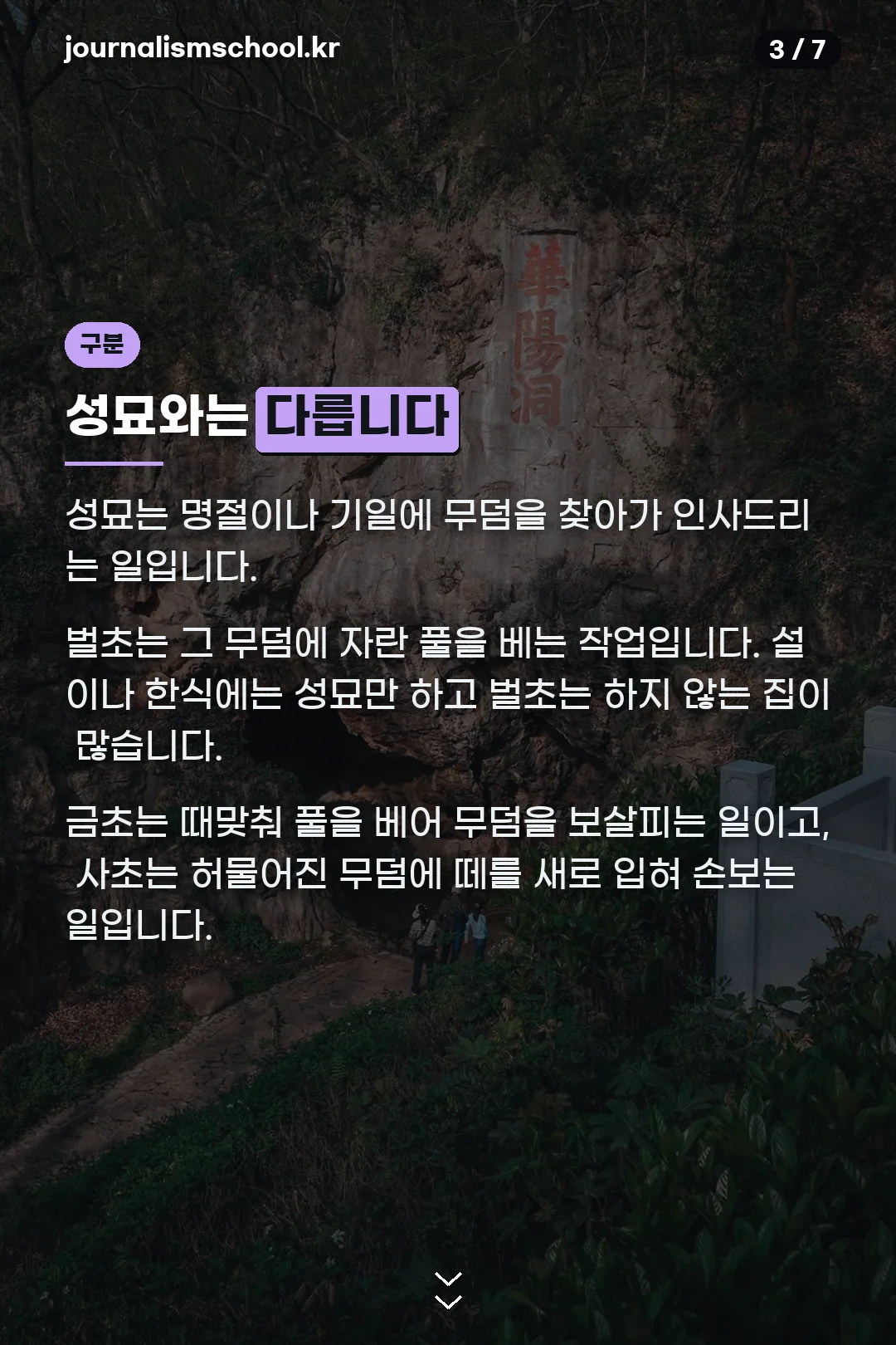 성묘와의 구분