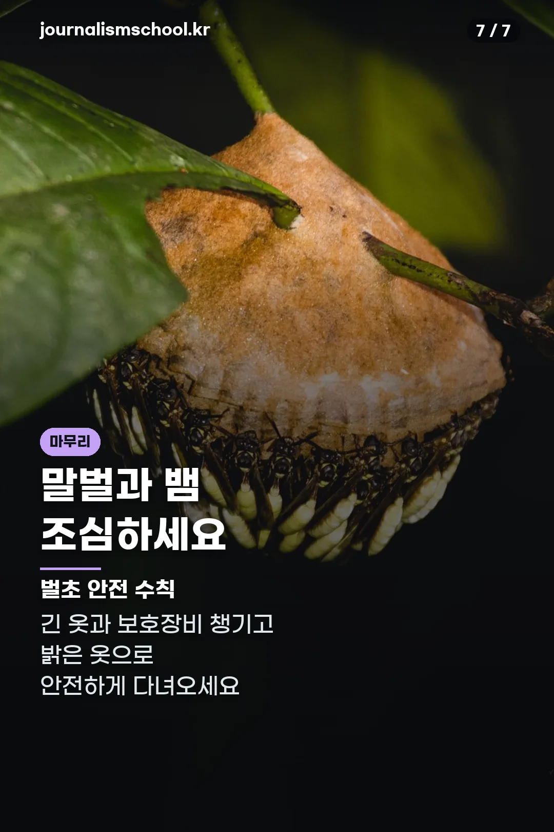 말벌·뱀 주의 마무리