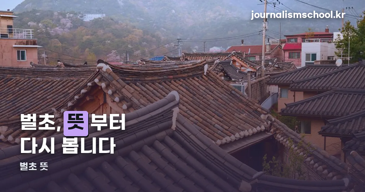 벌초 뜻 정리 썸네일