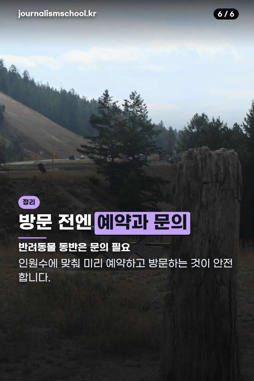 방문 전 확인사항