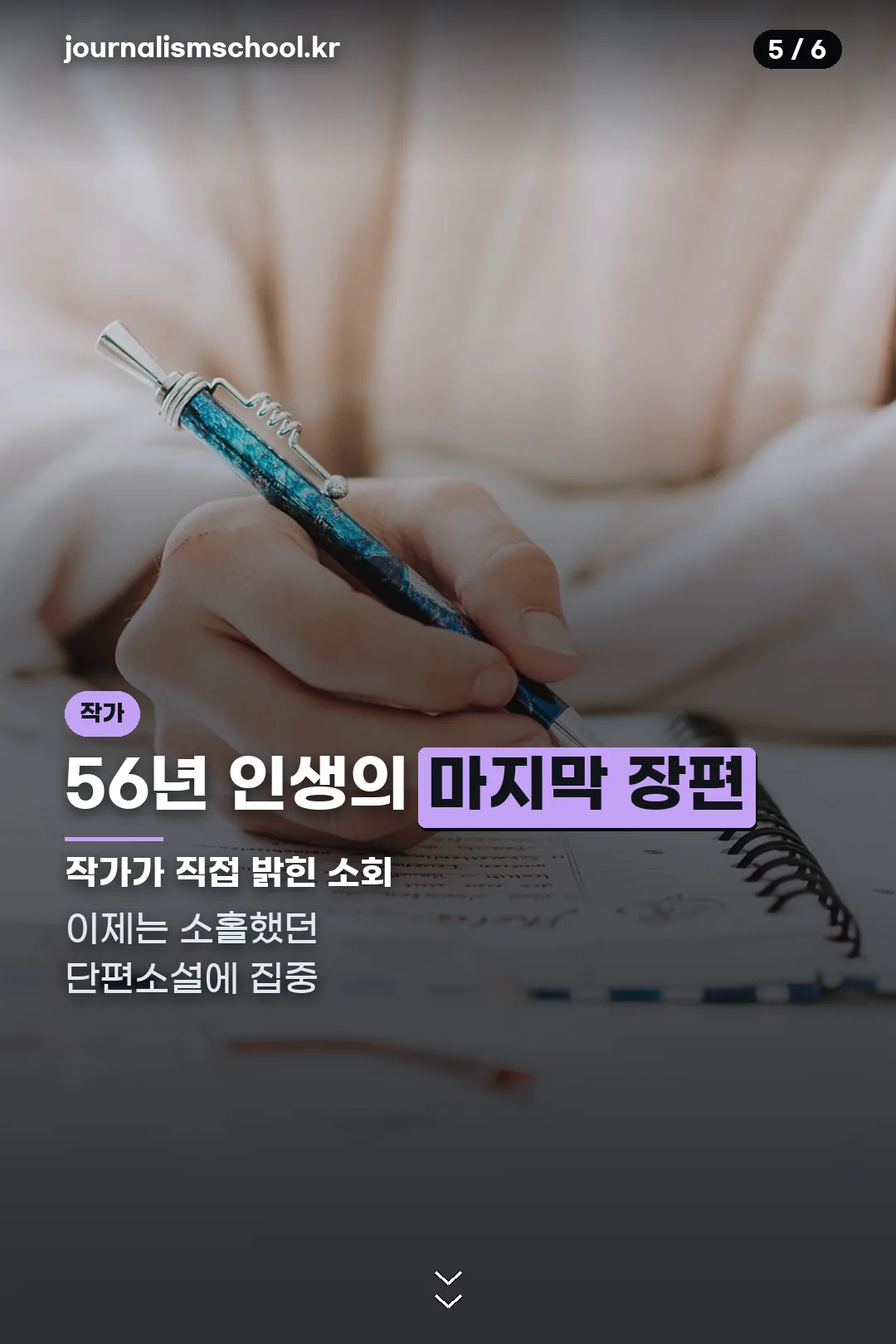 작가의 마지막 장편