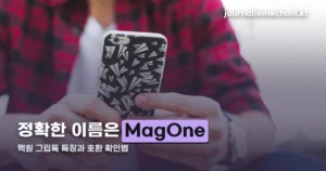맥원 그립톡, 정확한 이름은 MagOne — 특징과 호환 확인법