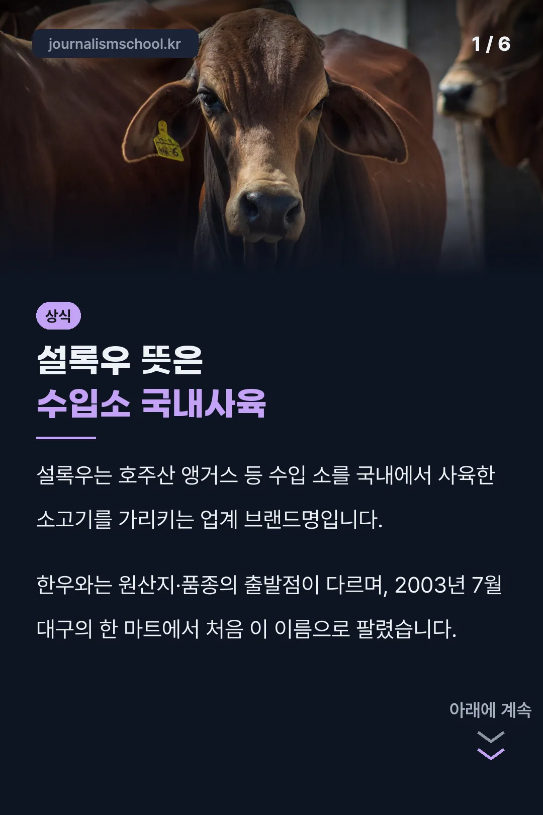 설록우 뜻은 수입소 국내사육