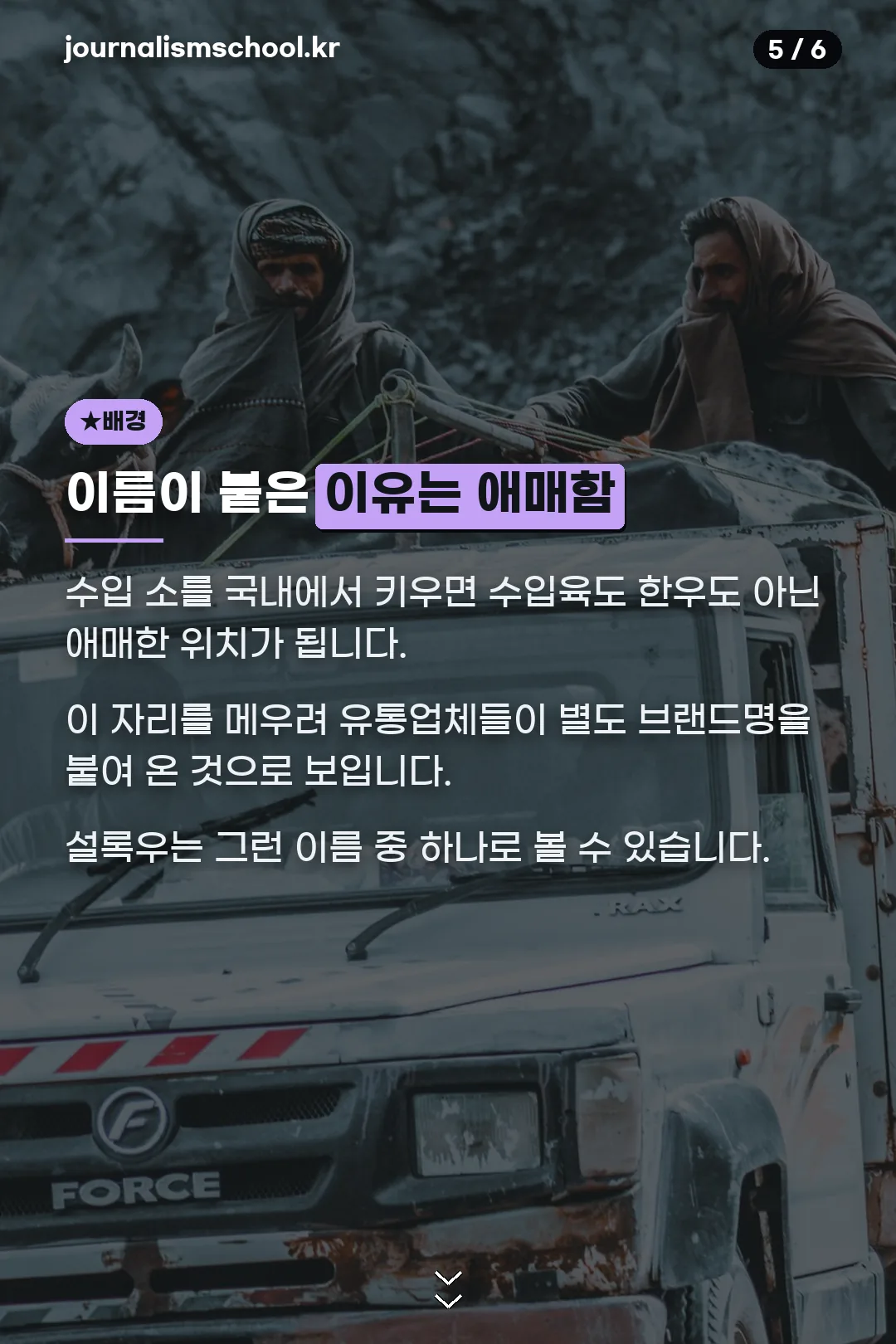 이름이 붙은 이유