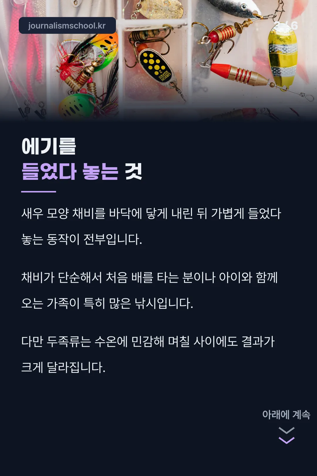 두족류 낚시 방식