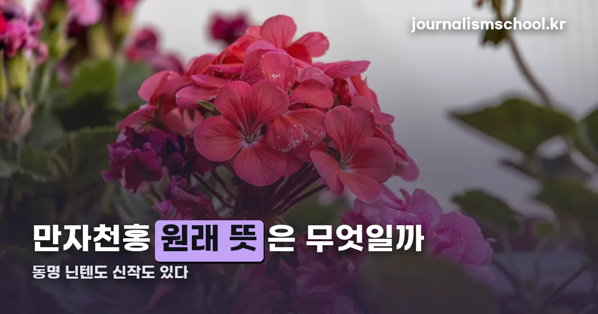 만자천홍 정리 썸네일