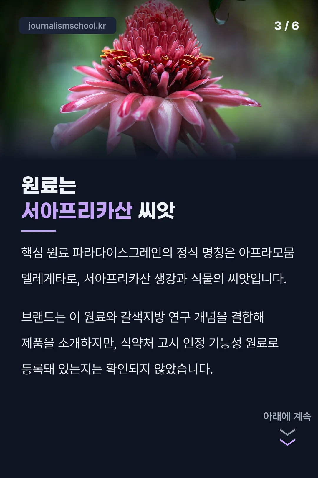파라다이스그레인 원료 설명