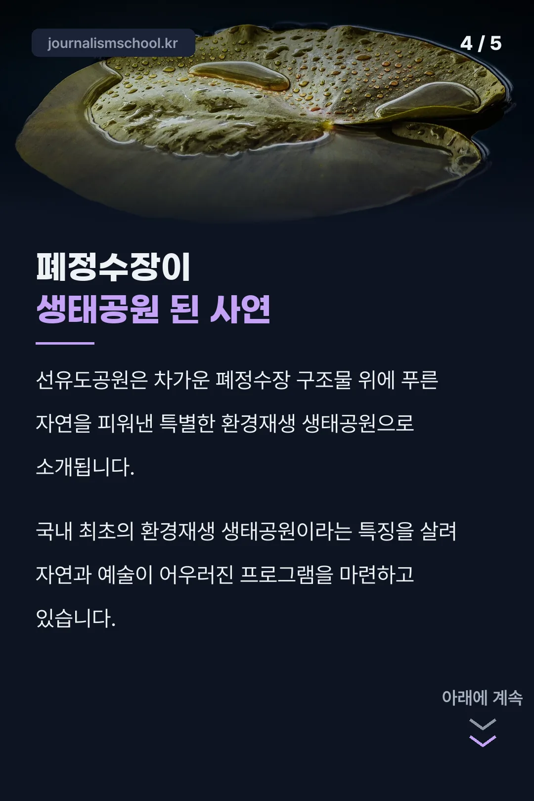 생태공원이 된 사연